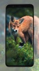 Fox Wallpapers screenshot 2