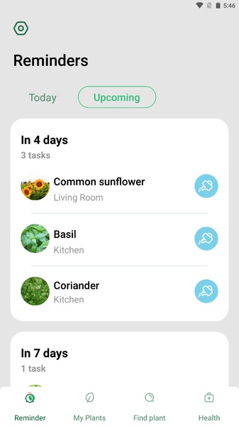 plant root enhancer Bonide