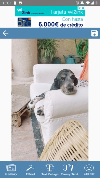 Photo Text Collage Creator - Preview 7