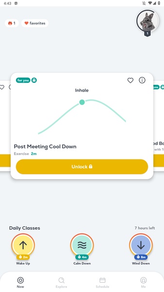 Breathwrk - Preview 4