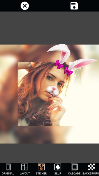 Collage Layout - Preview 15
