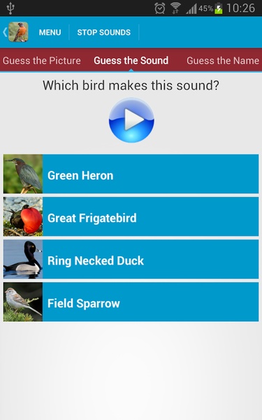 North American Birds Sounds - Preview 20