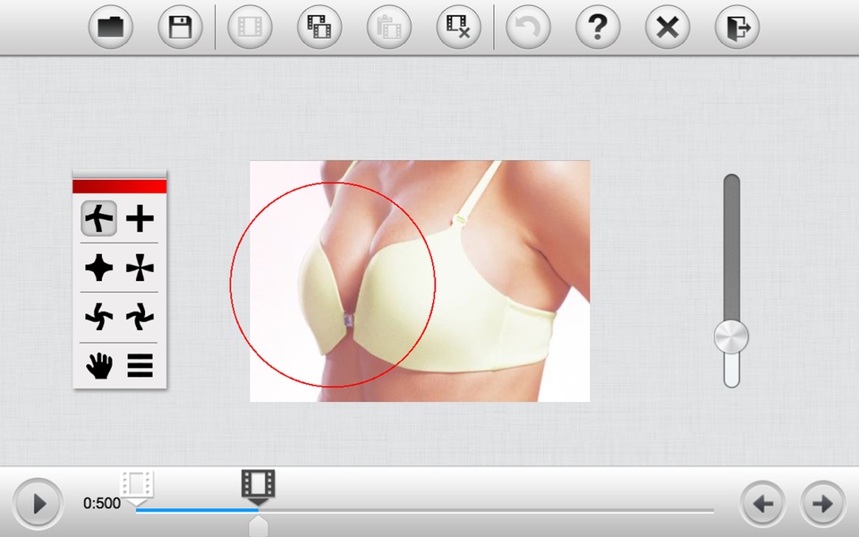 PhotoPlasticSurgeryGIFMaker - Preview 5