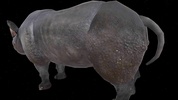 Rhino 3D screenshot 1