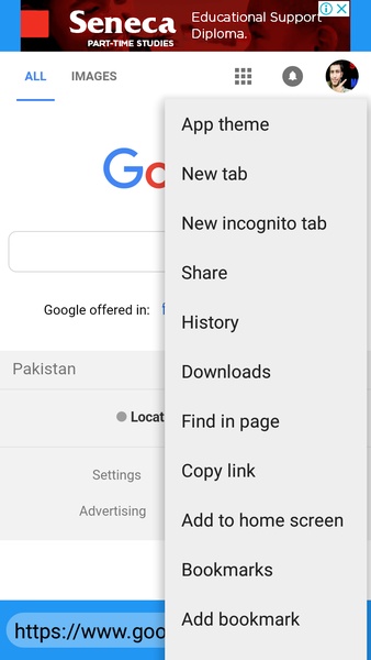 Masti browser - Preview 1