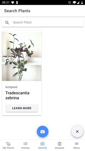 PlantIn: Plant Identification - Preview 3