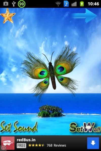 Butterfly Peacock - Preview 13