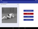 Judo Reference screenshot 1