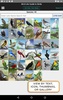 iBird Lite screenshot 11