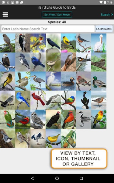 iBird Lite - Preview 11