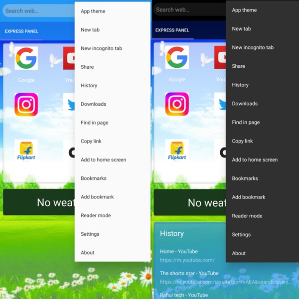 Mango Browser - Preview 2