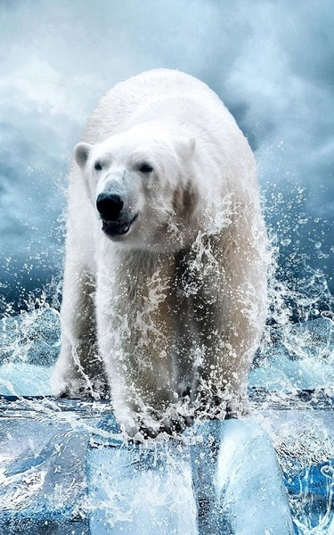 Wild animals Live Wallpaper - Preview 5