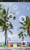 Beach Palms Live Wallpaper screenshot 3