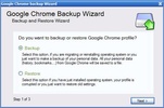 Google Chrome Backup screenshot 2