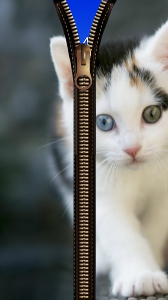 Cat Zipper Screen Lock - Preview 5