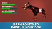 Dog Racing Tournament 3D screenshot 3