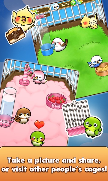 Bird Life - Preview 4
