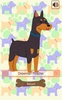 Old Maid Dog (card game) screenshot 3