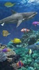 Shark aquarium screenshot 6