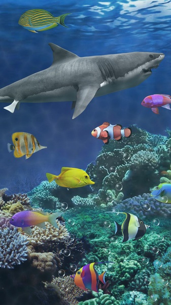 Shark aquarium - Preview 6
