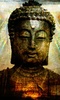 Buddha Wallpaper NEW screenshot 3