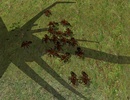 Ant Simulation screenshot 9