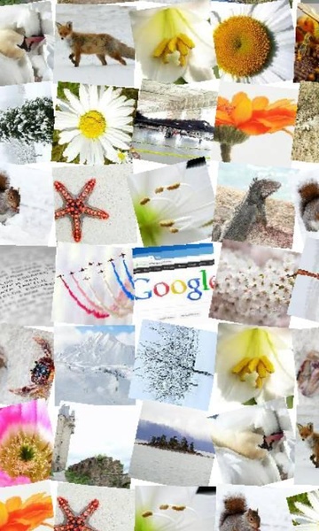 ZaBa Photo Mosaic Lite - Preview 4