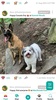 DogPack - Explore with the dog screenshot 20
