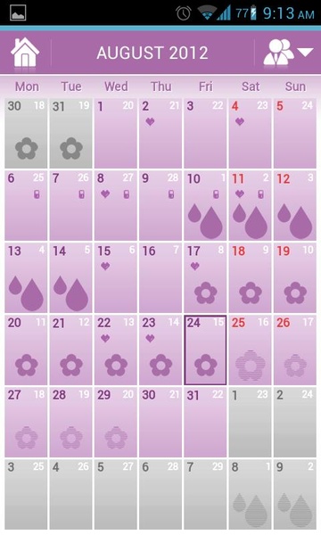 Menstrual Cycle - Preview 8