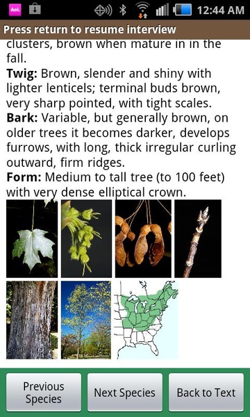 VT Tree ID - Preview 2