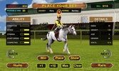 Racing Horse Simulator screenshot 4