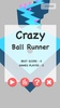 Crazy Ball Runner screenshot 1