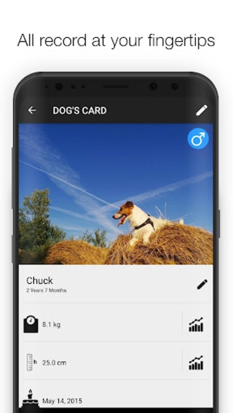 Dog Health - Preview 5