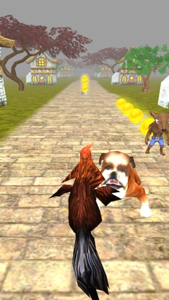 RoosterRun - Preview 10