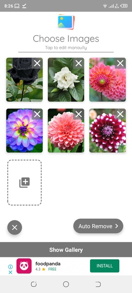 Batch BG Remover - Preview 7