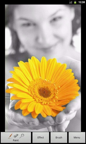 Photo Art - Color Effects - Preview 8