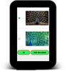 3D Peacock Wallpapers - Screen Lock, Sensor, Auto screenshot 6