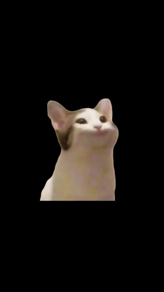 Pop Cat - Preview 1