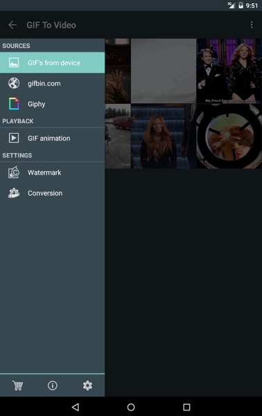 GIF To Video - Preview 5