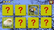 Animali puzzle screenshot 3