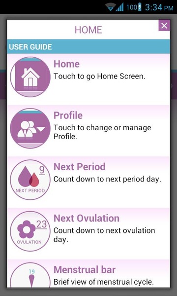 Menstrual Cycle - Preview 4