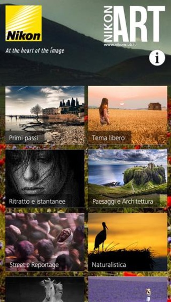 Nikon Art - Preview 9