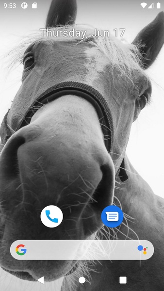 Horse Wallpaper HD - Preview 1