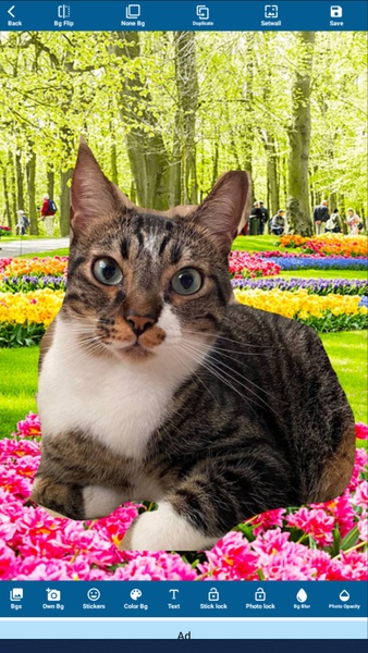 Garden Photo Editor - Preview 1