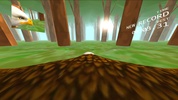 Eagle Ride screenshot 2