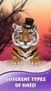 Cute Tiger Live Wallpaper screenshot 19
