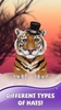 Niedlicher Tiger Hintergrund screenshot 19