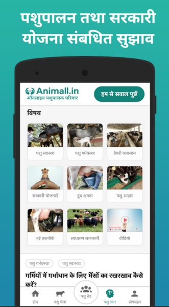 Animall - Preview 4