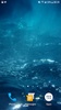 Dolphins Underwater Video Live Wallpaper screenshot 2
