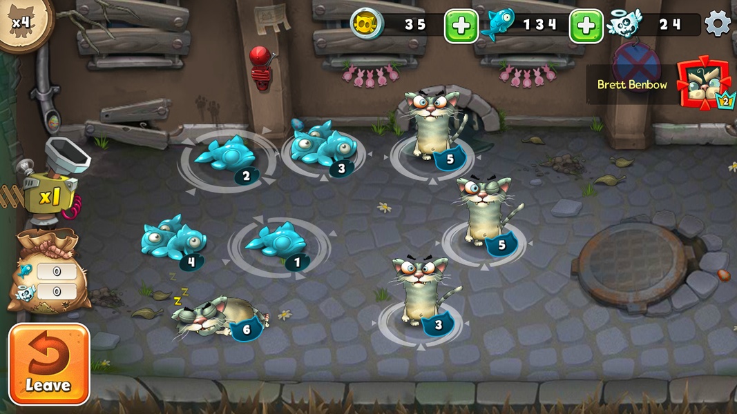 Cats Empire - Preview 8